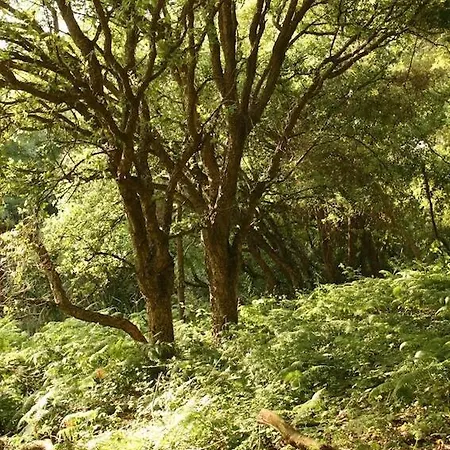 Holiday home Casa Burra *